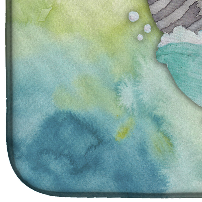 Tapis de séchage pour aquarelle de bain raton laveur