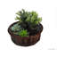 Panier rond teint willow