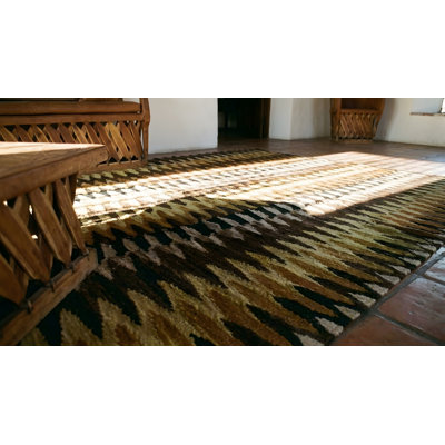 Tapis de style terre de Navajo