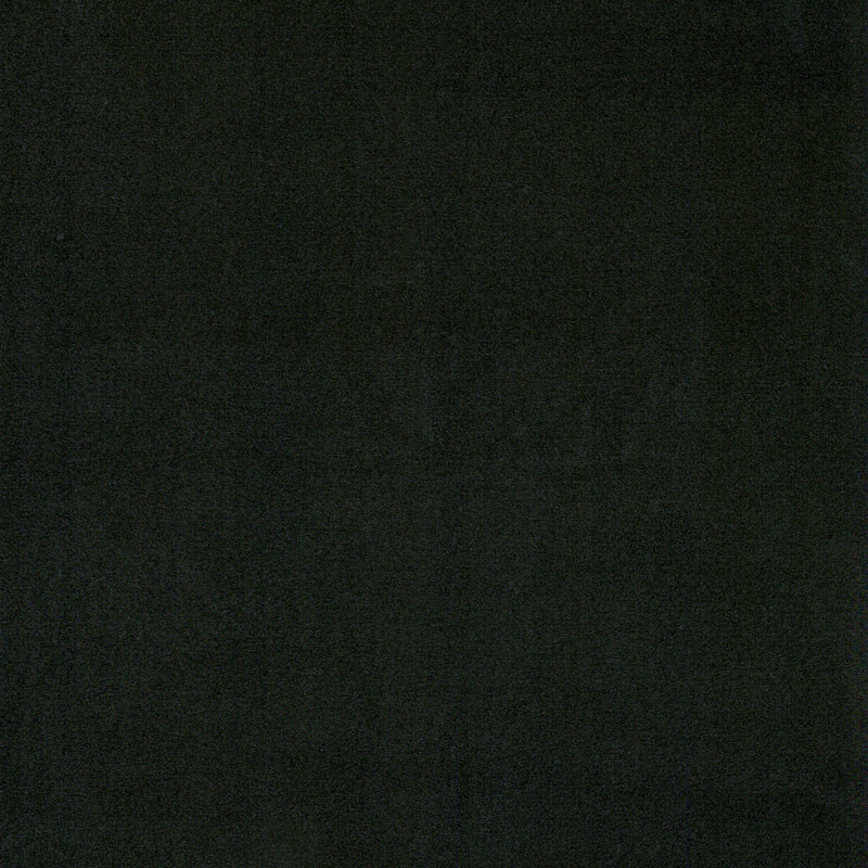 MUTED CLAY Cotton Velvet, Black