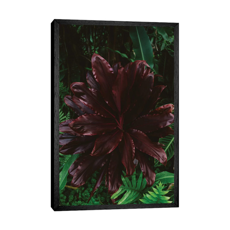 Tropical Hawaii VI by Bethany Young - Print on Canvas, 101.6cm H x 66.04cm W x 3.81cm D, Black Framed