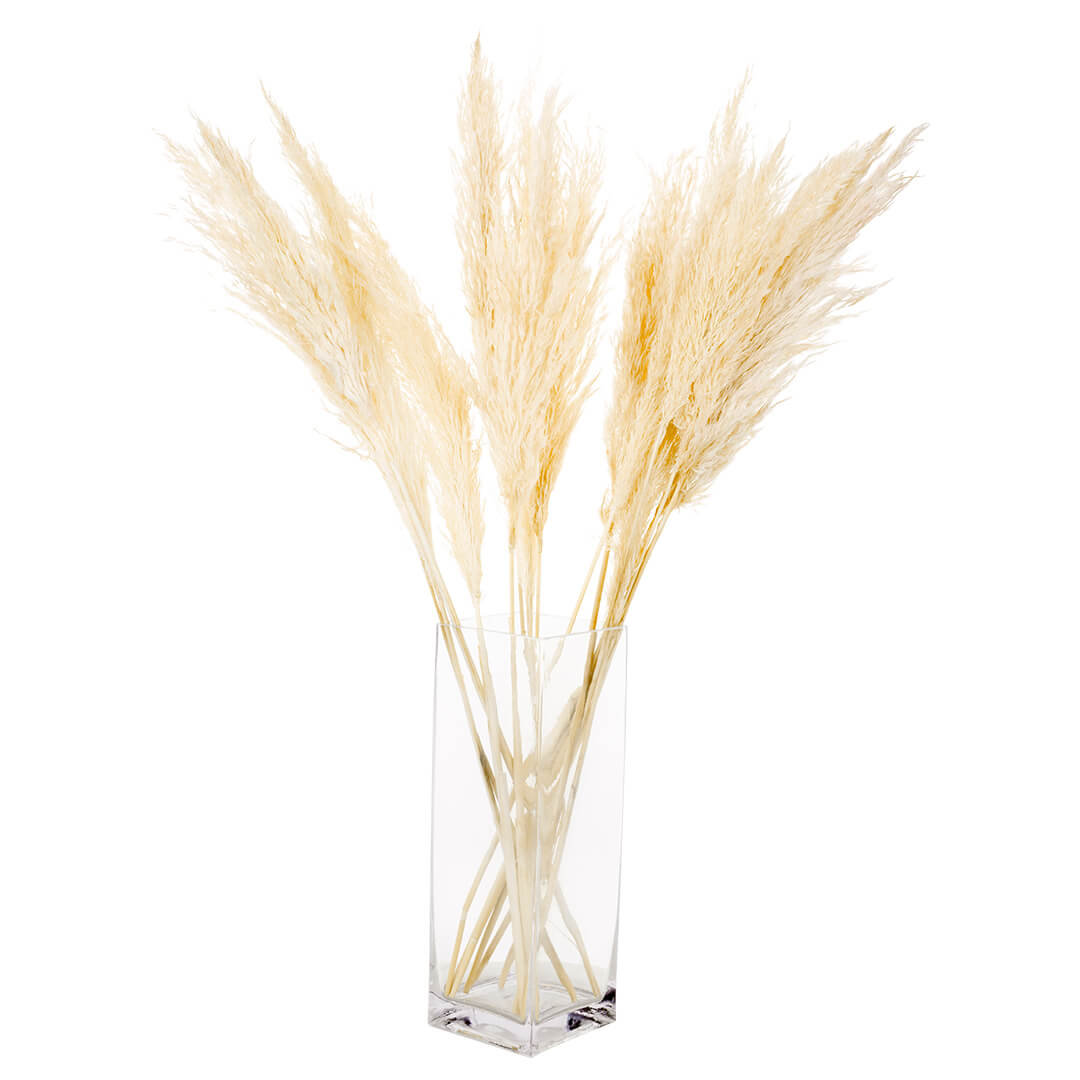 96 - Piece Preserved Pampas Grass (Set of 96) Primrue Flowers/Leaves