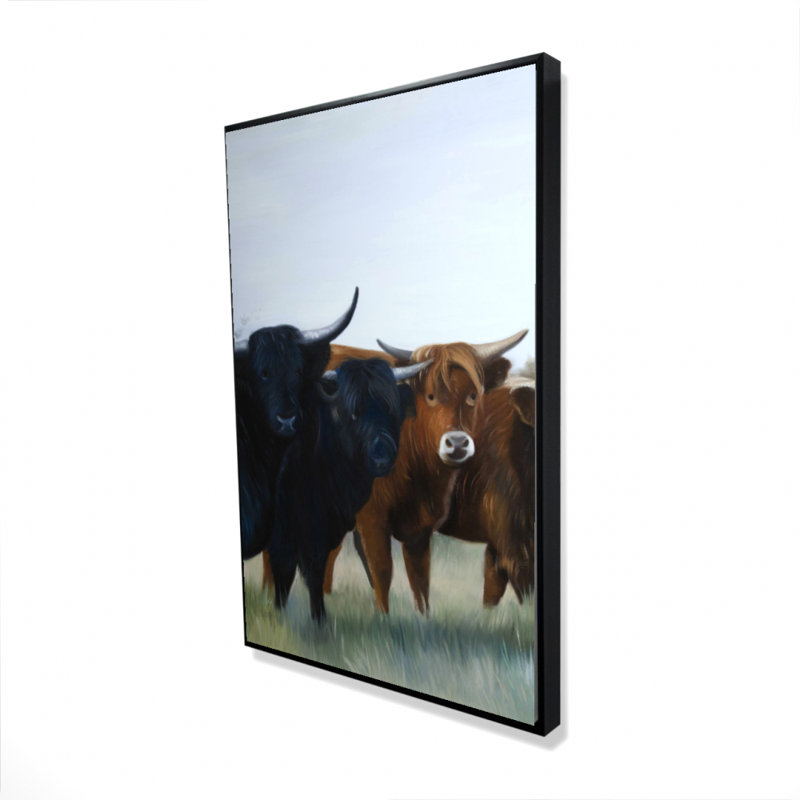 Four Highland Cows Print On Canvas