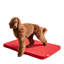 Orthopedic Microfibre Pet Bed-45408871-45433367