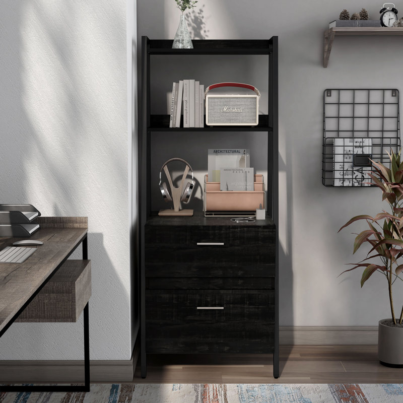 25.59'' Wide 2 -Drawer File Cabinet, Black