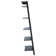Alexzander Ladder Bookcase