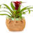 Advitha Handmade Pot Planter