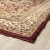 Anoush Oriental Indoor Rug