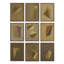 Constellation Set Set by Reese Truesdell-259726380