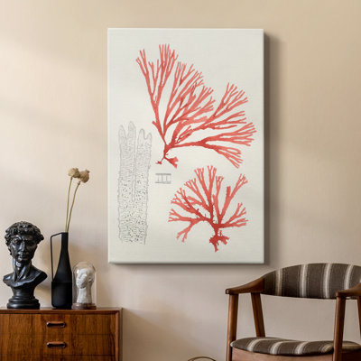 Étude de corail rétro I - galerie Cavas sur mesure
