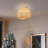 1-Light Flush Mount Ceiling Light，Semi Flush Mount Ceiling Light-101782491