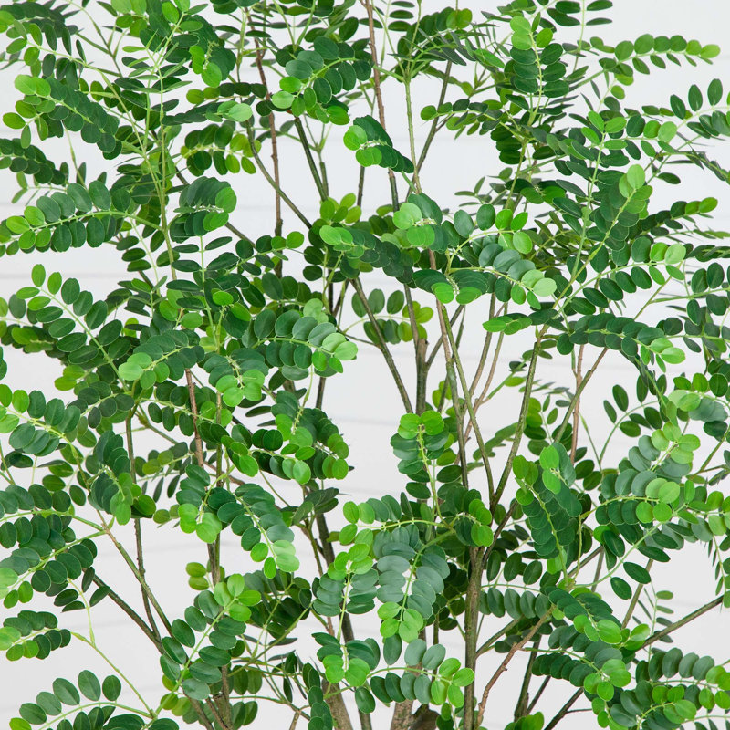 84'' Faux Citrus Tree in Pot Liner