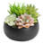 5.3'' Faux Succulent Plant in Ceramic Pot
