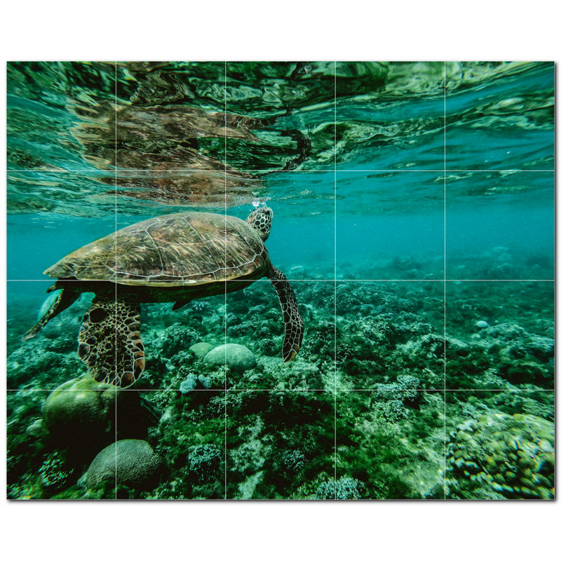 Murale en céramique satinée 12 po x 12 po Turtle Photo