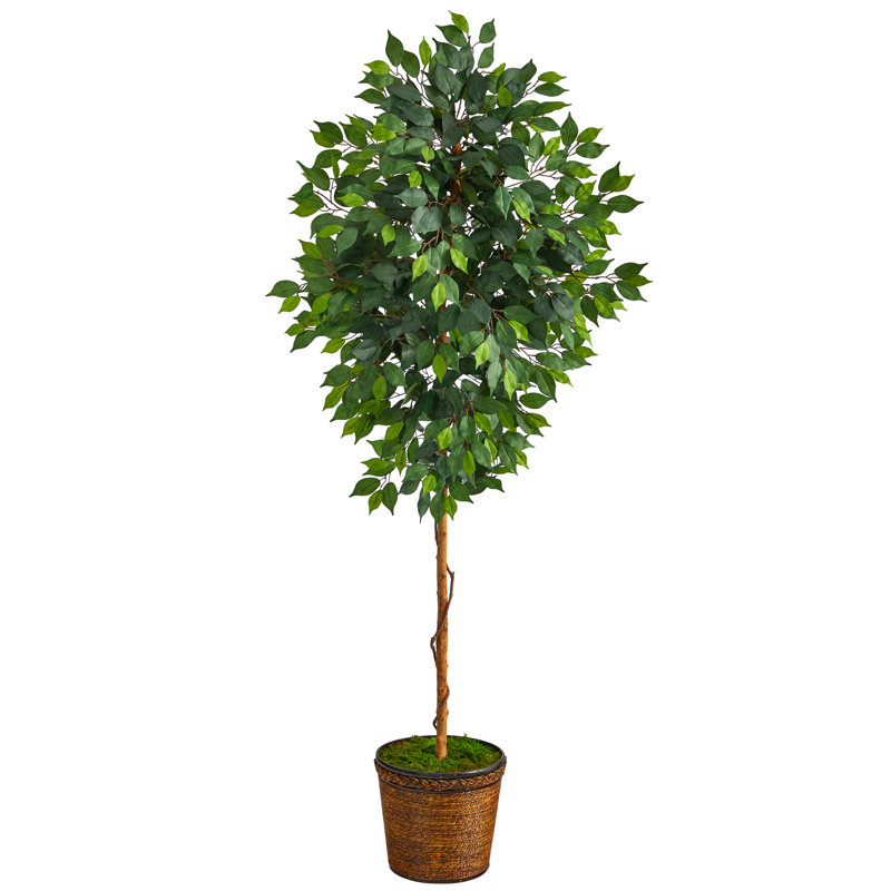 Ficus artificiel 78 po en pot