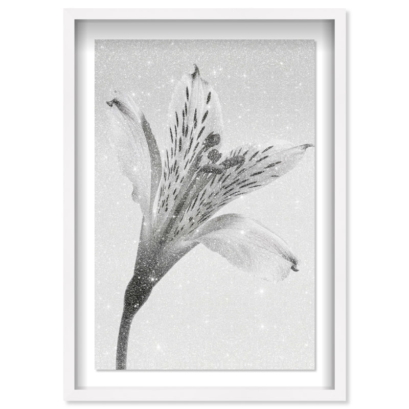 Delicate Spots Framed Graphic Art, 16.5" H x 11.5" W, White Shadowbox