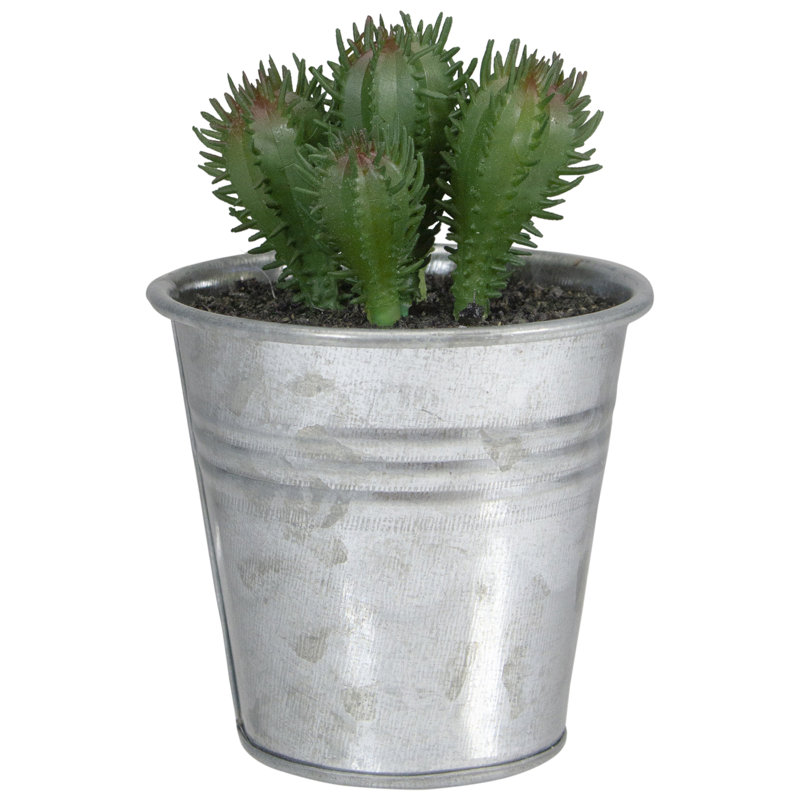 Mini cactus artificiel en pot 3,5 po