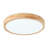 1-lamp Bright white LED dimmable ceiling light