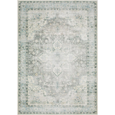 Lympsham Light Gray/Green Area Rug