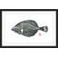 Andrew Clay - Single Picture Frame Print-20604438