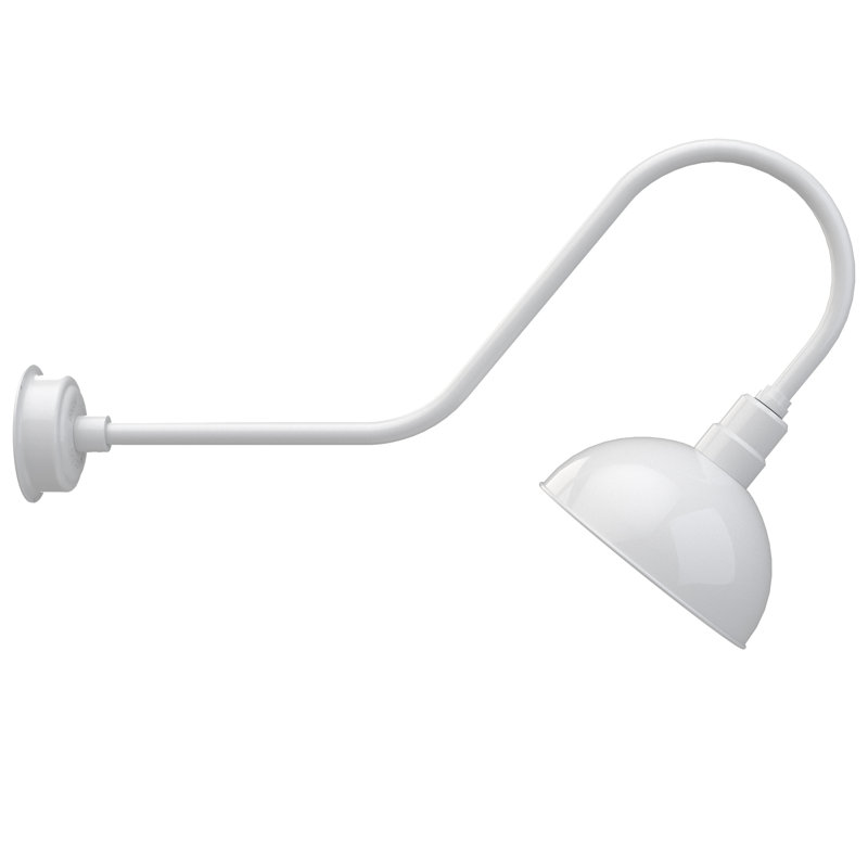 Dipkarpaz LED Wall Light, 12" H x 12" W x 36" D, White