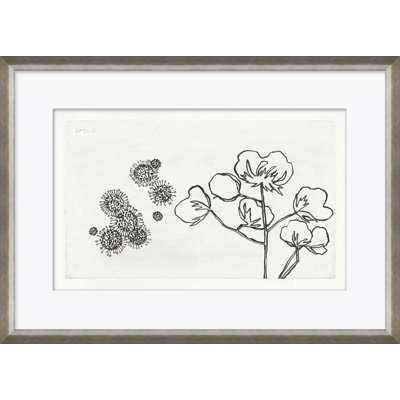 Strawflower Giclee Print by Susan Hable