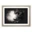 Black Labrador - Picture Frame Painting Print-56855030-56855034
