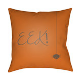Indoor/Outdoor Throw Pillow