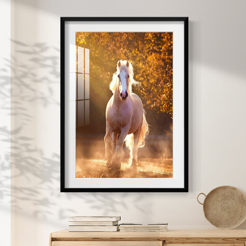 Delightful II -Gallery Wrapped Canvas