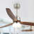 Bobe 52'' Ceiling Fan with LED Lights