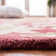 Pooler Hand Tufted Wool Oriental Rug