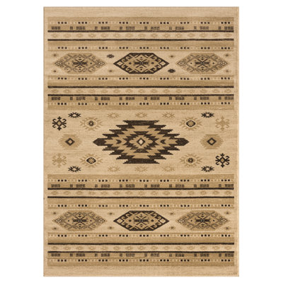Southwestern Indoor Rug
