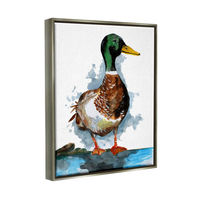 " Mallard Duck Water's Edge "