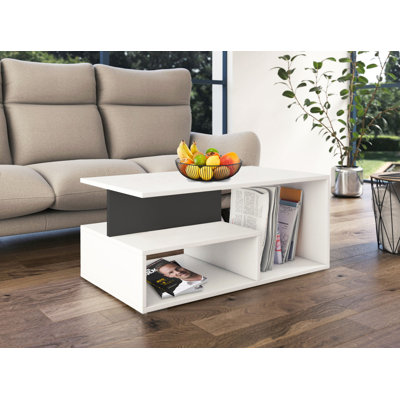 Emmelynn Coffee Table with Storage