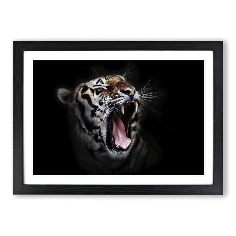 Tiger Framed Photographic - Framed Print, Black