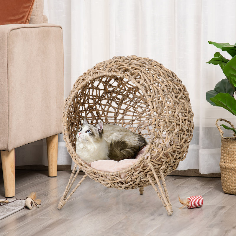 Ensemble de maison pour chat / chaton 20,5 po tissé à la main