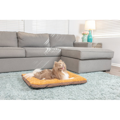 Coussin pour chien moka
