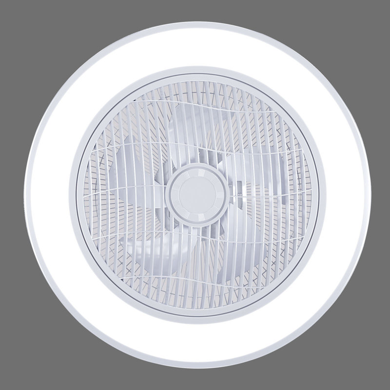 Ceiling Fan with LED Lights