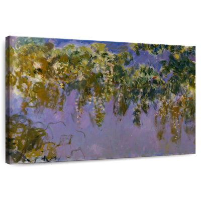 Wisterias