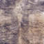 Selen   Faux Cow Print area rug Printed Animal Skin Brown-508194311