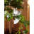 CLIMBING CHIP SQUIRREL DECOR
