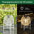 11.5'' Solar Powered Outdoor Lantern
