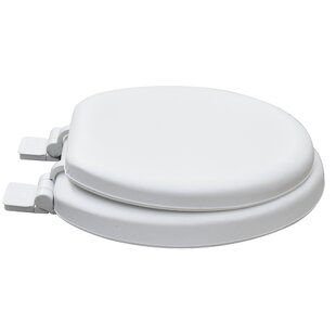 https://assets.wfcdn.com/im/47847008/resize-h310-w310%5Ecompr-r85/1290/129078918/round-soft-close-toilet-seat-and-lid.jpg