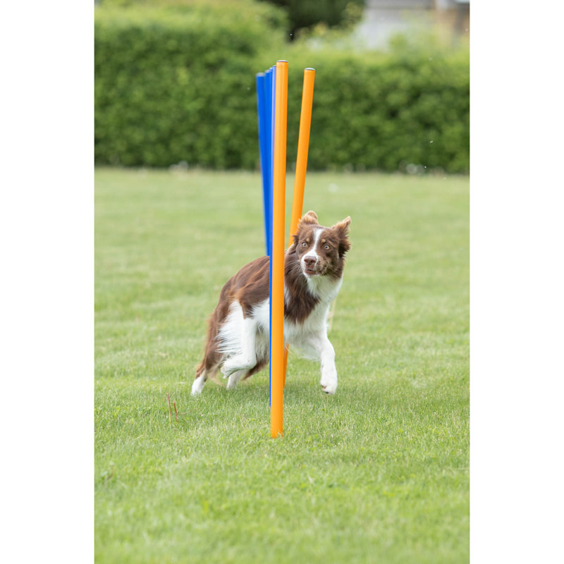 TRIXIE Portable Dog Agility Slalom Set with Steel Spikes