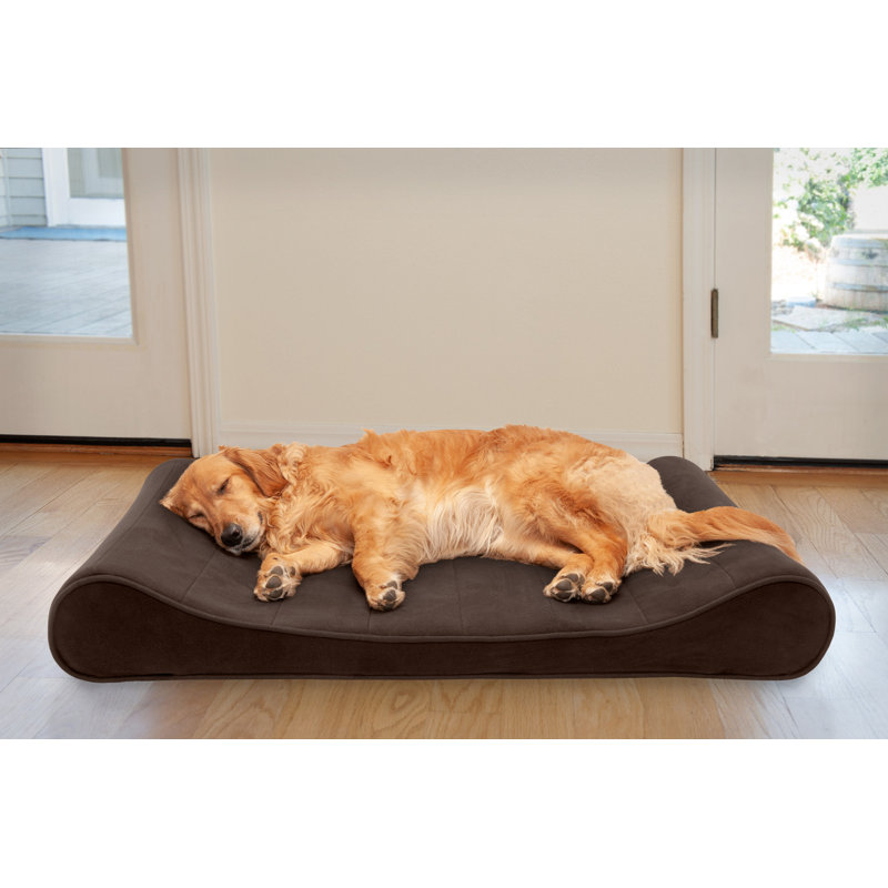 Microvelvet Luxe Chaise Lounge Orthopedic Dog Bed, Large (36" W x 24" D x 5.5" H), Espresso, Orthopedic Foam
