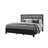 Carlos Black Queen Bed With LED-753975350-753975345
