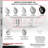 Pneumatic Wheel Set 2 Swivel 2 Rigid
