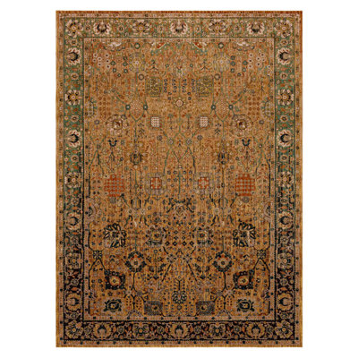 Spice Market Myanmar Plush Pile Stain/Fade Resistant Polyester Woven Ornamental Indoor Area Rug