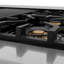 ZLINE autographe 48 po Legacy Dual Range en acier satiné avec détails noirs et bronze