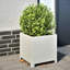 Planter Box-104931244-108202637